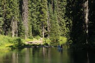 在不列颠哥伦比亚省郁郁葱葱的常绿森林中划独木舟，感受大自然的宁静