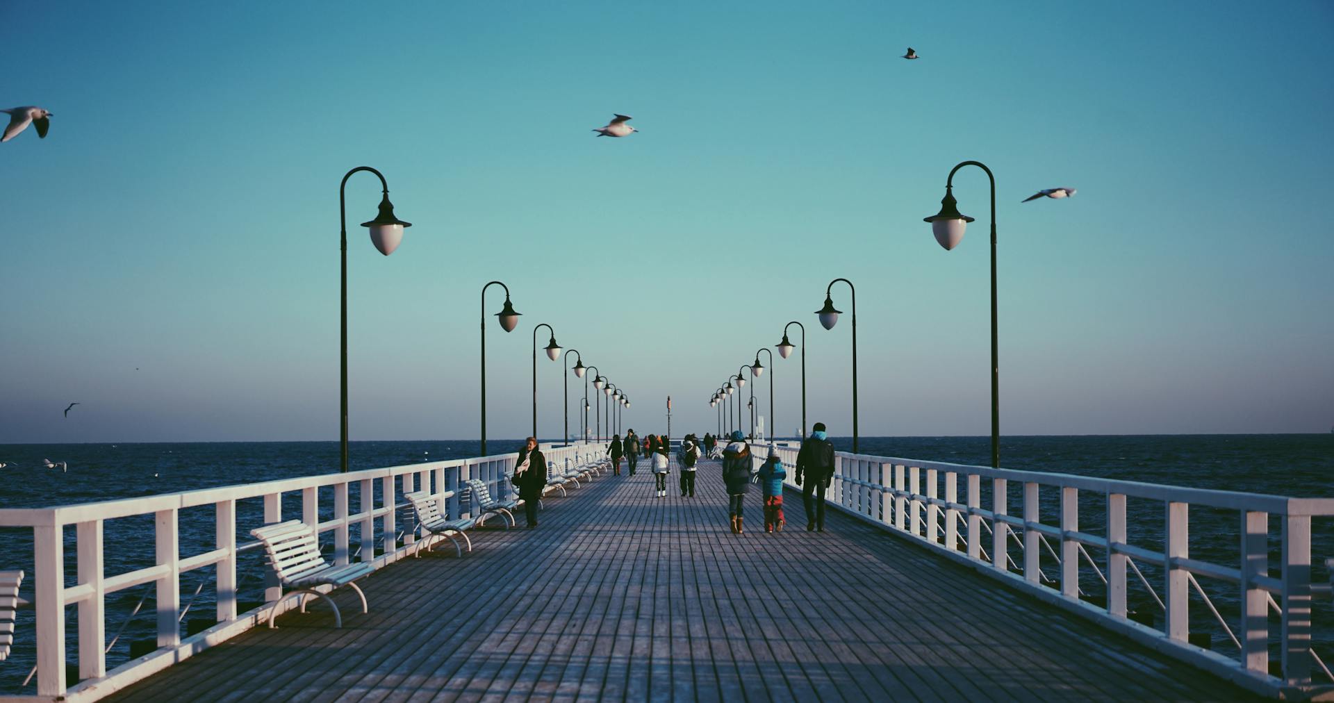 People Standing on Blue and White Dock