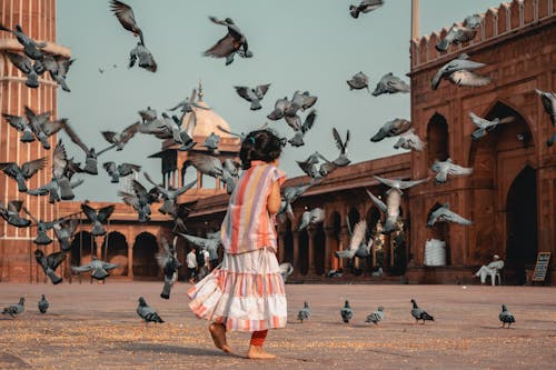 Girl Standing in Front of Flying Pigeons