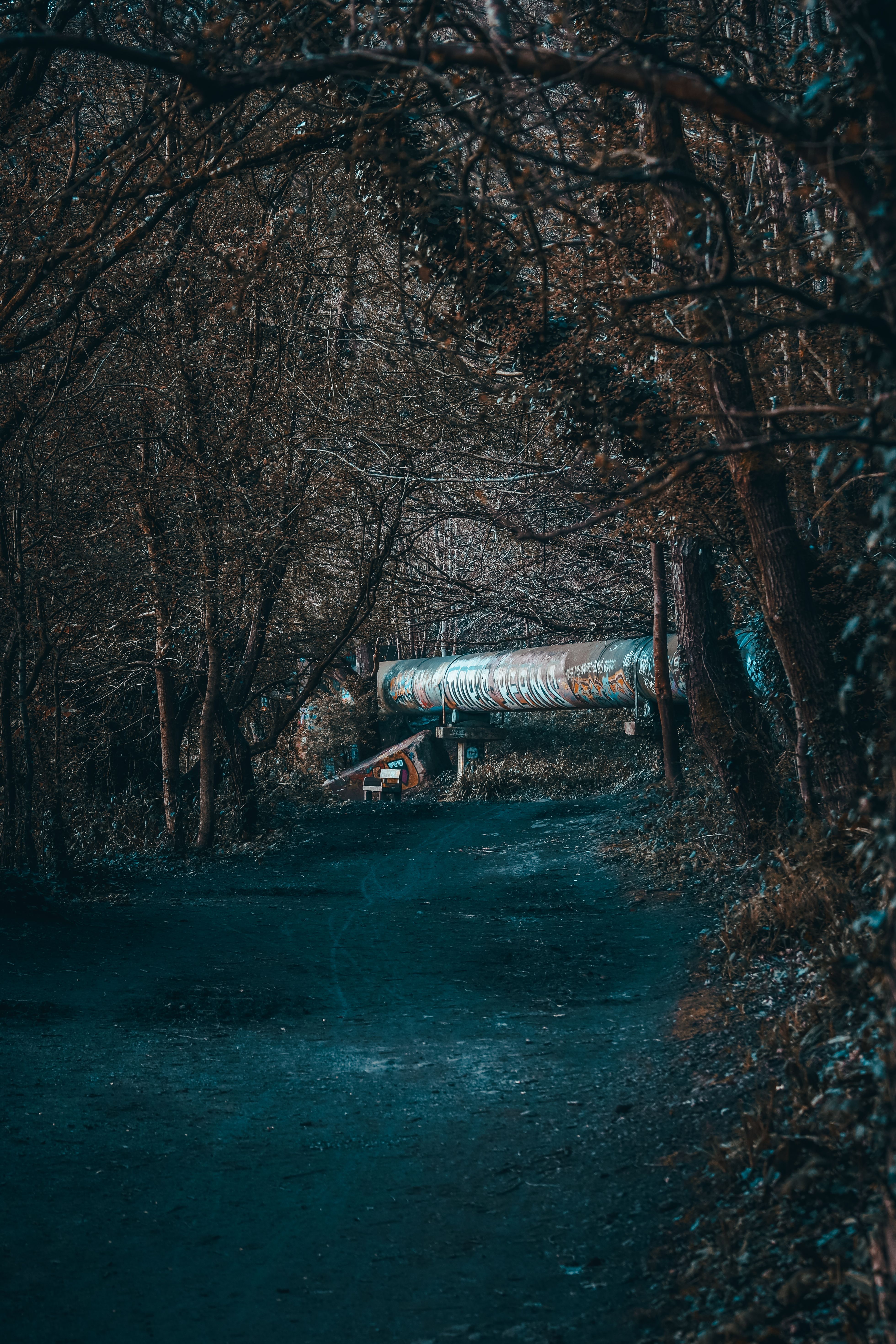 Pipe behind Dirt Road in Forest · Free Stock Photo
