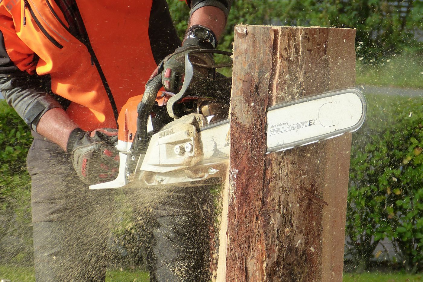 Tree Removal Pretoria