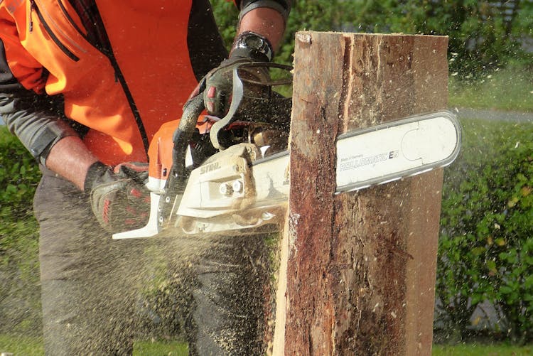 Man Cutting Tress Using Chainsaw