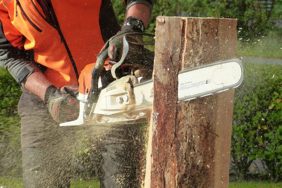 Professional arborist using chainsaw to cut tree branches — proper technique eliminates the need for tree pruning sealer in Surrey BC