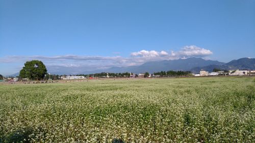 不锈钢型塑烧板滤芯金属材质实拍