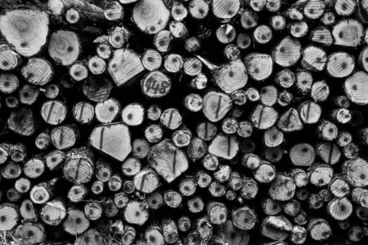 Grayscale Photography of Wirewood Logs