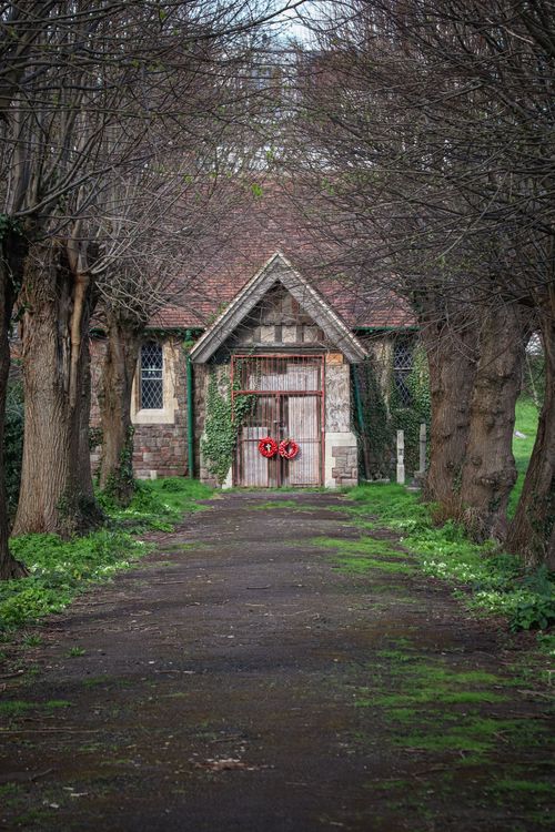 Free A picturesque view of a historic ivy-clad stone building surrounded by trees along a path. Stock Photo