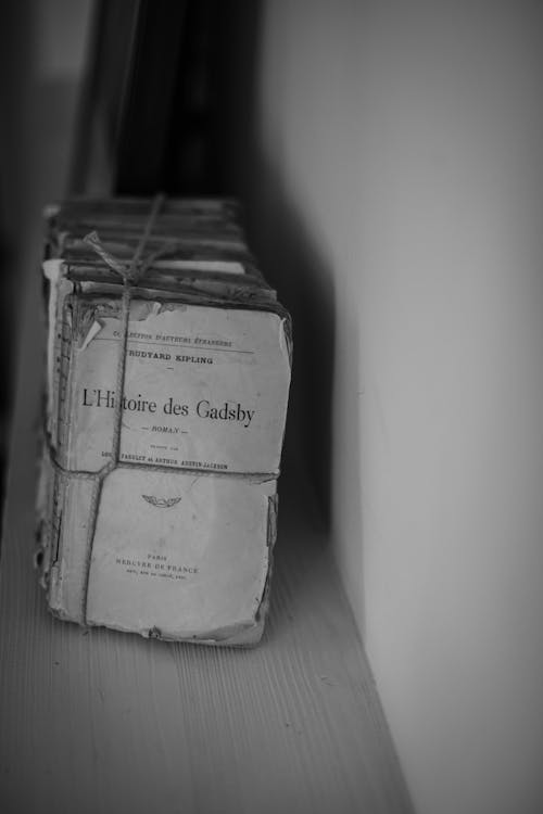 A black and white photo of a book on a shelf