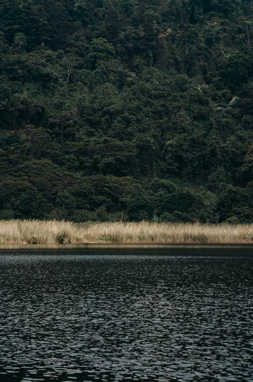 Free A tranquil lake with rippling water, bordered by lush green forest, under a clear sky. Stock Photo