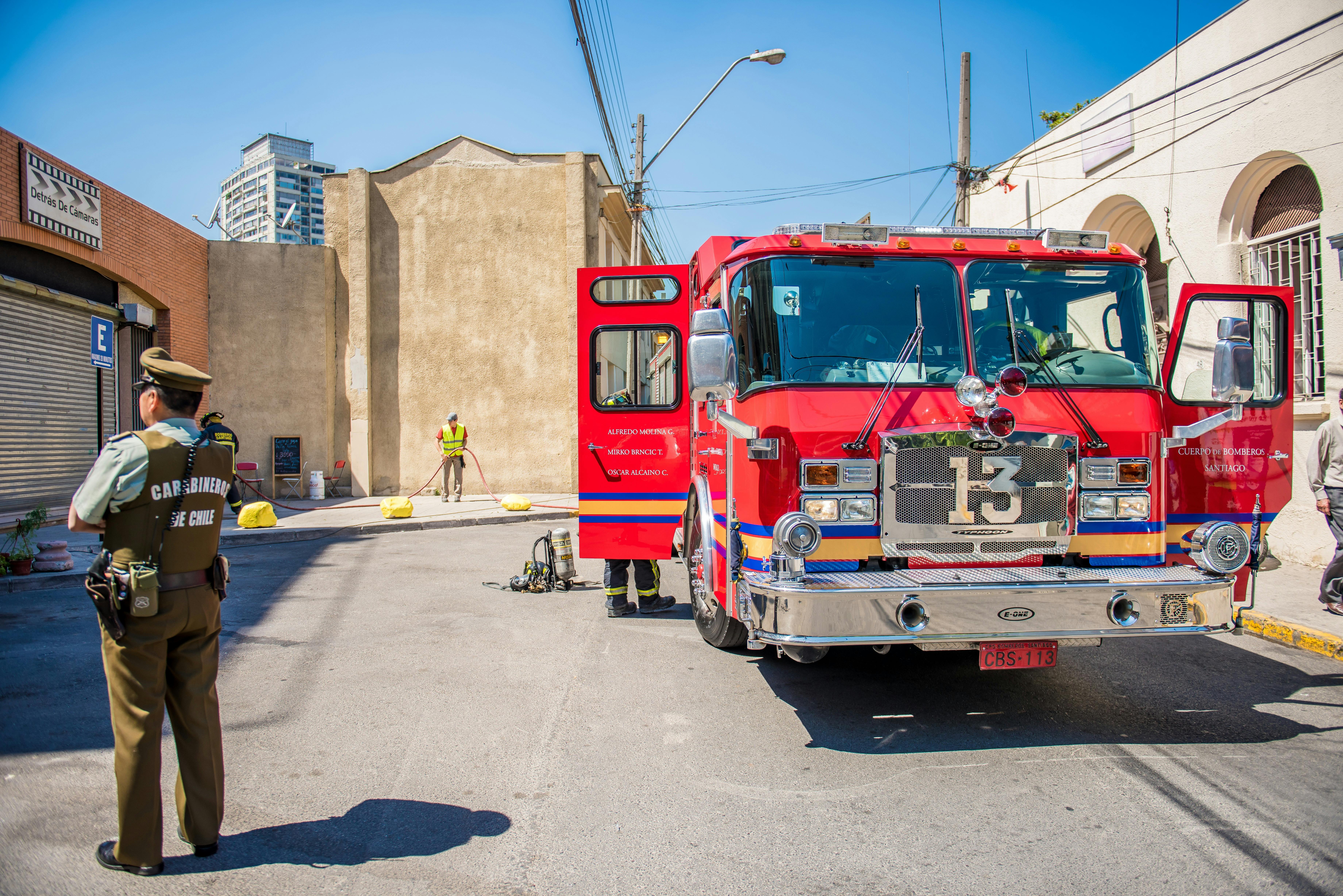 Orchids for Valentine's Day