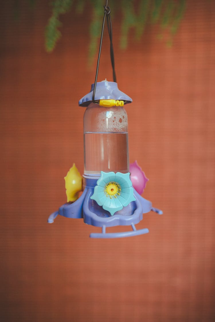 Hanging Bird Water Feeder