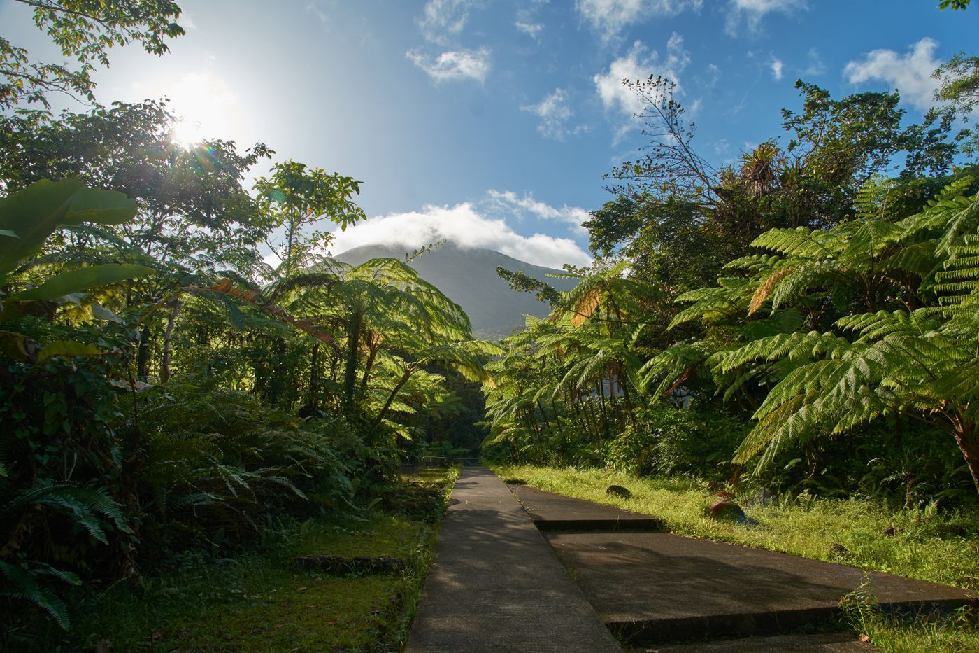 Basse-Terre en Guadeloupe