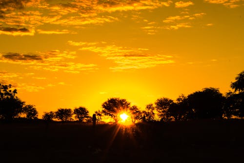 Photos gratuites de arbre, ciel spectaculaire, coucher de soleil doré