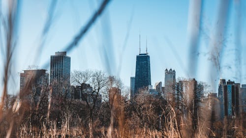 Kostnadsfri bild av arkitektur, byggnader, chicago