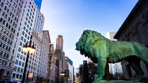 Lion Statue Near Building