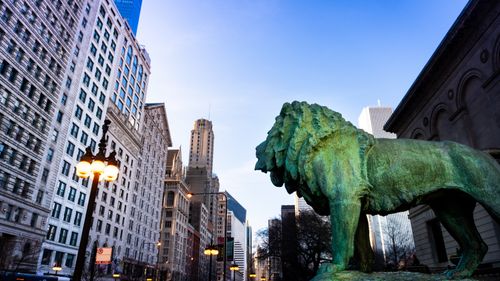 Free View of Chicago skyscrapers and lion statue, capturing urban architecture and art. Stock Photo