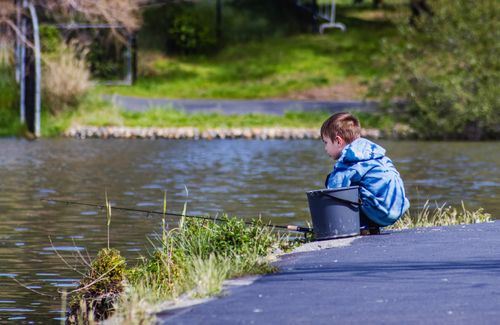 Free A young boy sitting by a lake, engaged in fishing on a sunny day in a park. Stock Photo