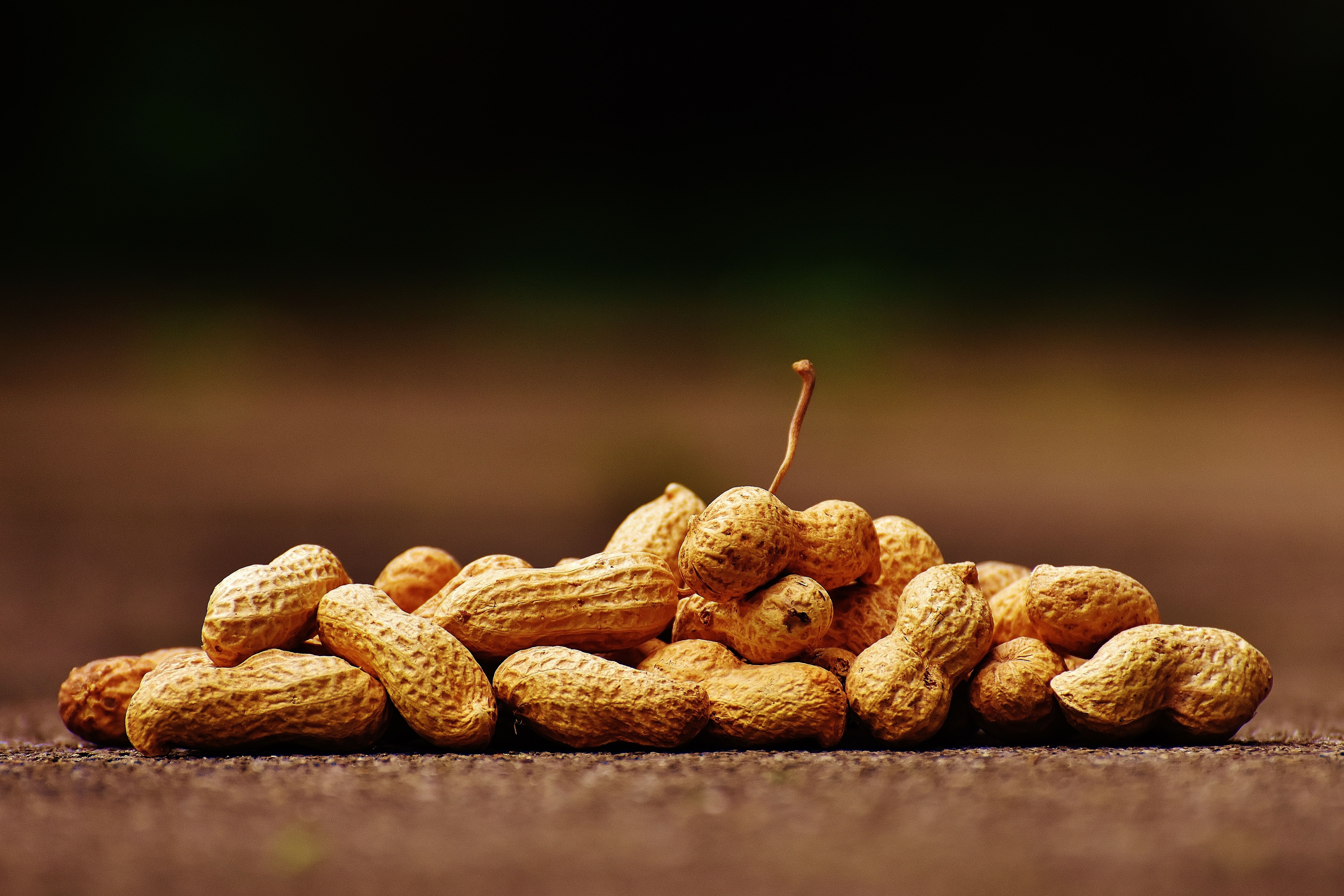 Wood-Pressed Groundnut Oil