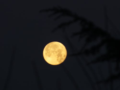 Free stock photo of dark, full moon, midnight