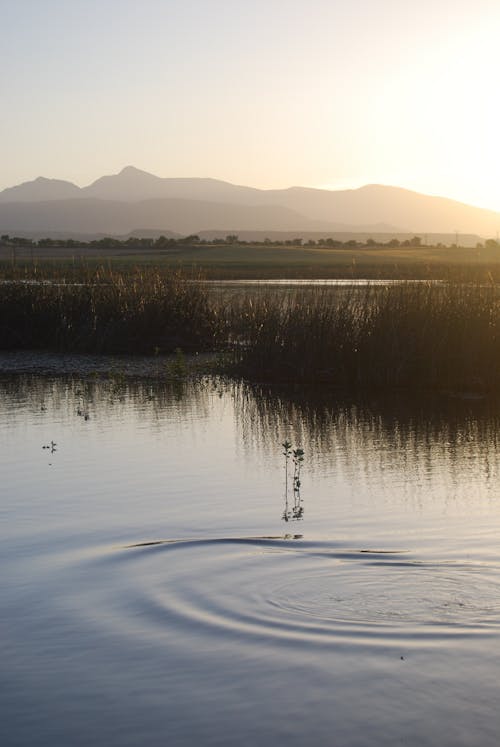 Free Landscape Photography of Grass Near Body of Water Stock Photo