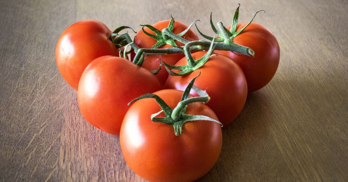 Ripe red tomatoes on a wooden table, showcasing their vibrant color and freshness. - Evidence evidence guide for lycopene skin randomized trial