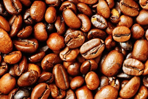 Free Brown Coffee Beans Stock Photo