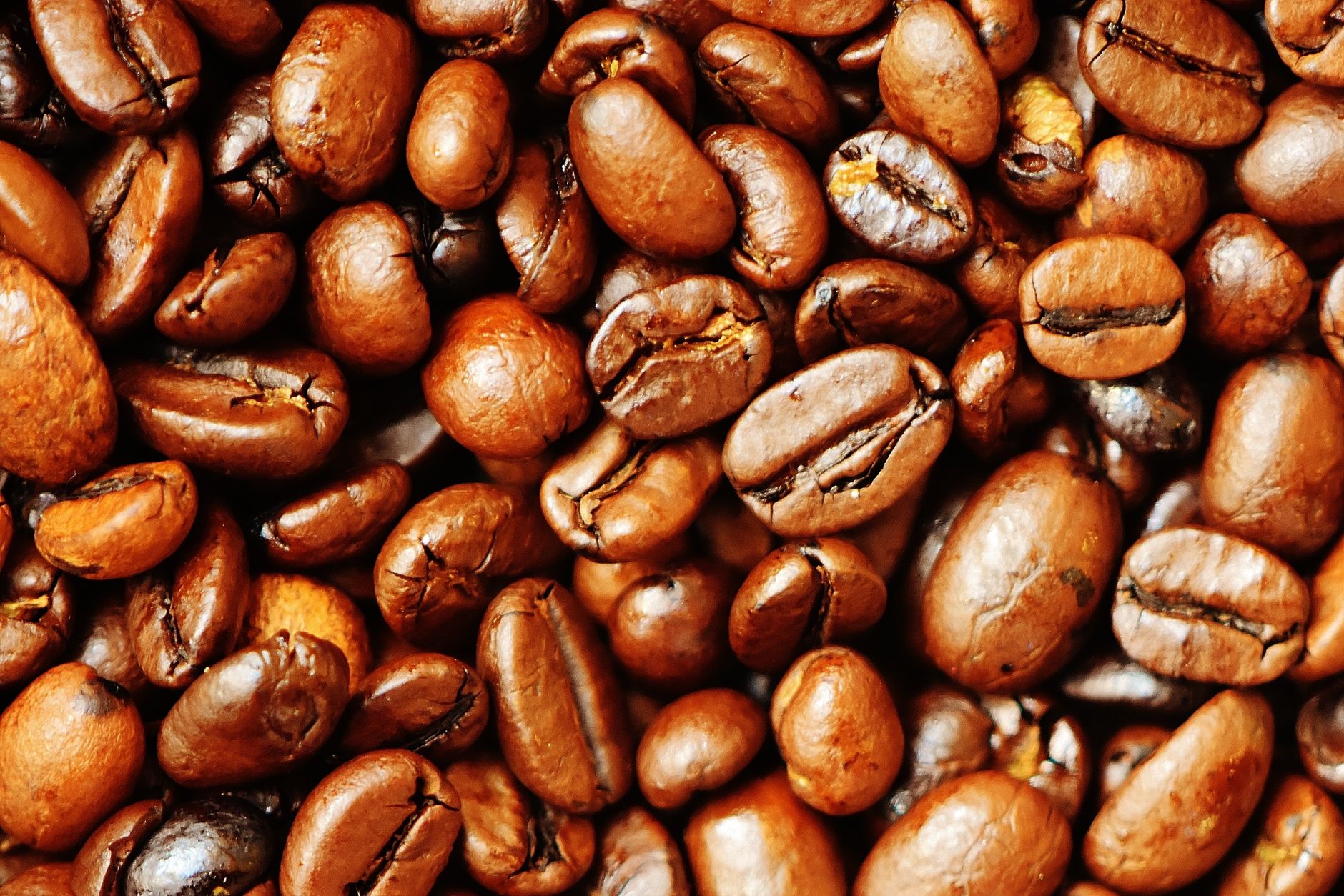 Biohacking beginners guide — Detailed image of roasted coffee beans showcasing texture and rich brown hues.