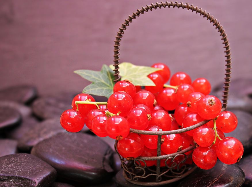 Close-up of fresh red currants in a decorative basket with stones.