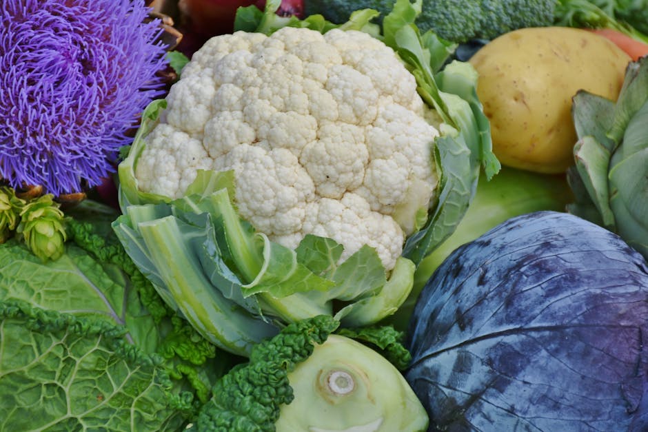 Free stock photo of cauliflower, food, fresh - 1200 x 627 jpeg 103kB