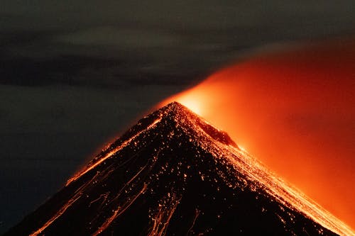 Foto d'estoc gratuïta de a l'aire lliure, actiu, agafant