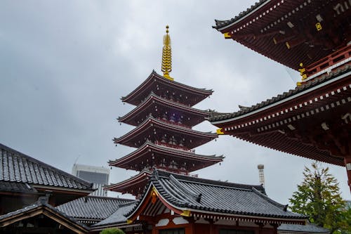 Fotobanka s bezplatnými fotkami na tému architektúra, Buddha, budova