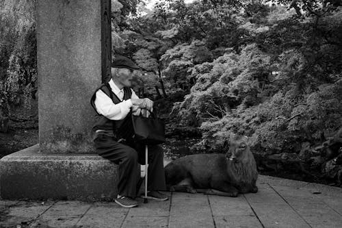 A man sitting on a bench with a dog