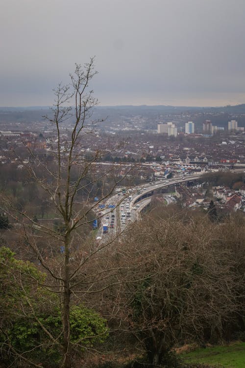 A view of a city from a hilltop