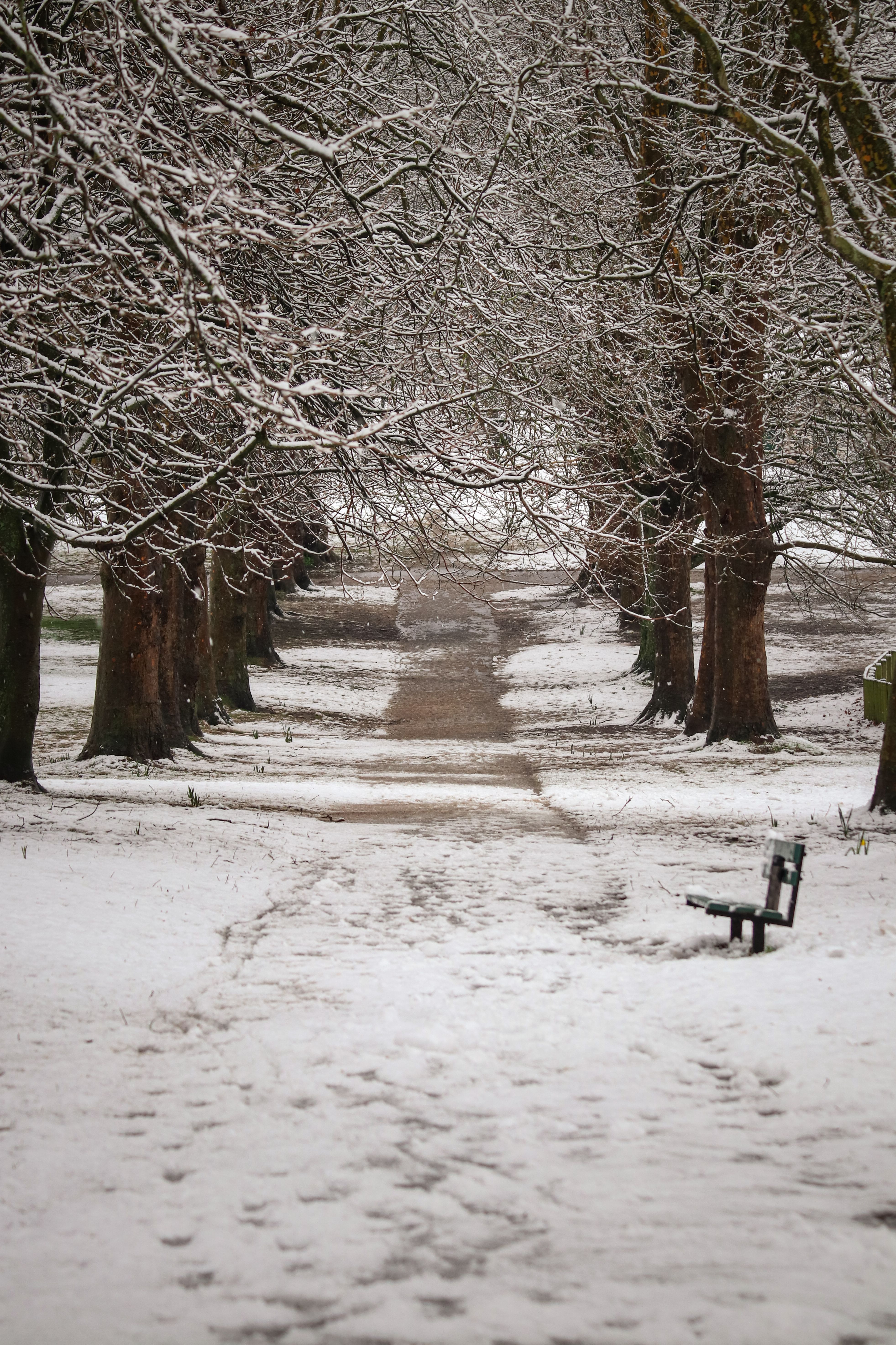 A bench in the snow next to a path · Free Stock Photo