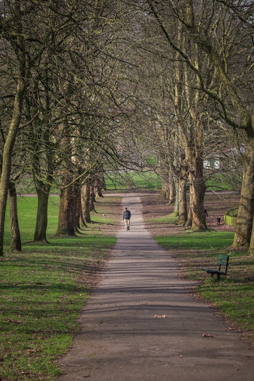 A person walking down a path in a park