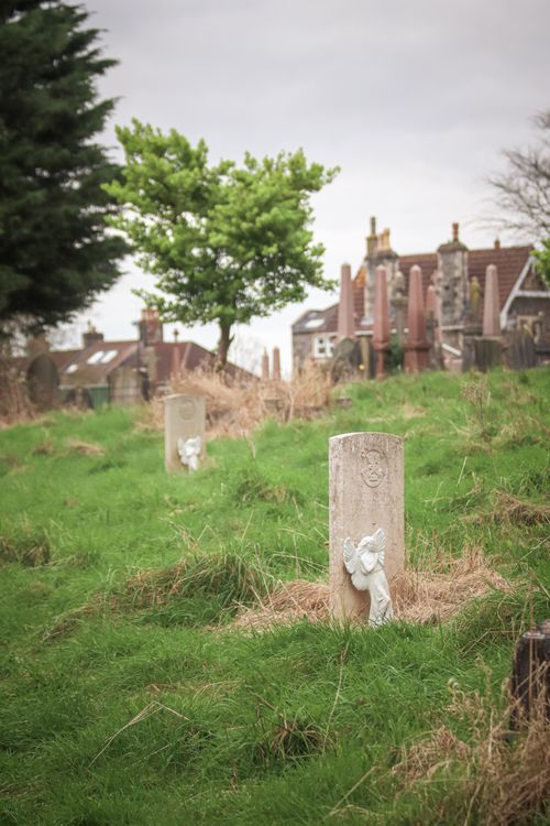 Free Serene image of a cemetery with tombstones surrounded by lush greenery. Stock Photo