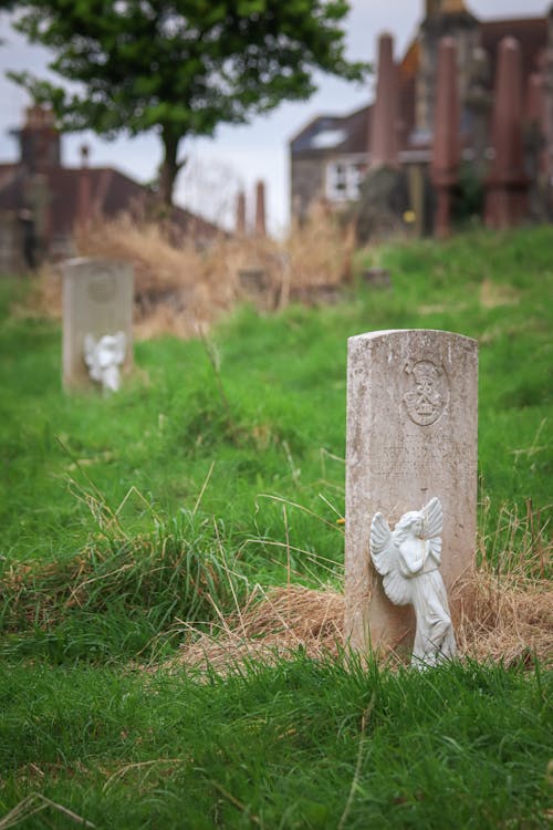 Immagine gratuita di cimitero, dolore, focus selettivo