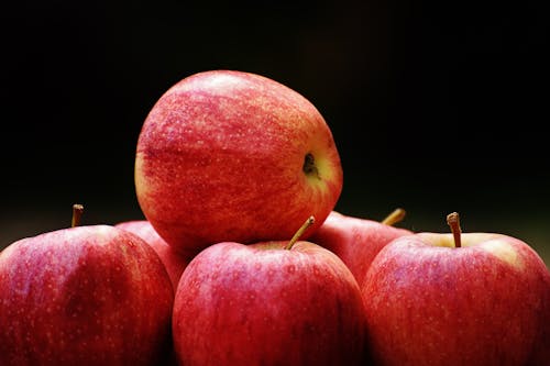 Free Red Apple Fruit Stock Photo