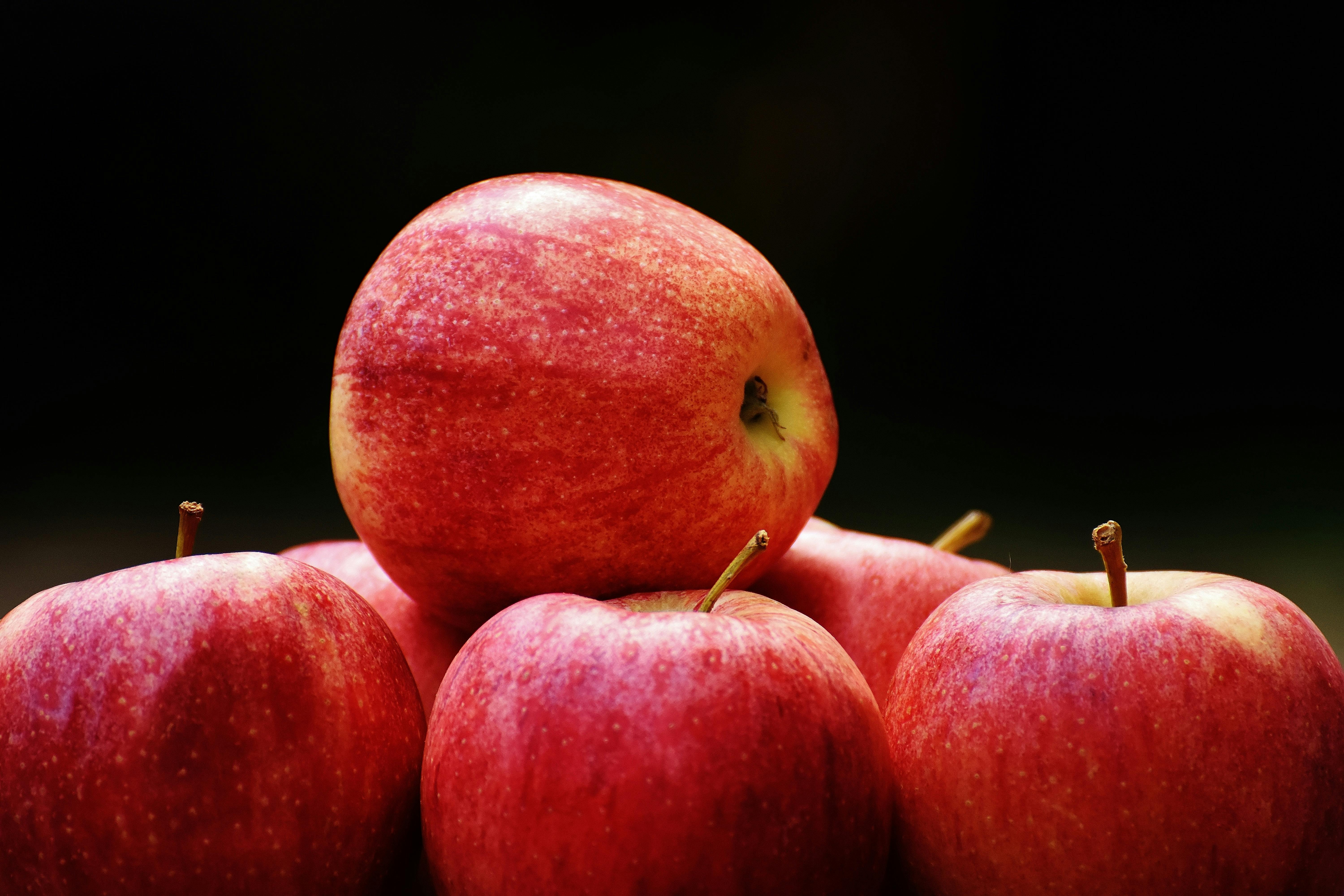 Red Apple Fruit · Free Stock Photo
