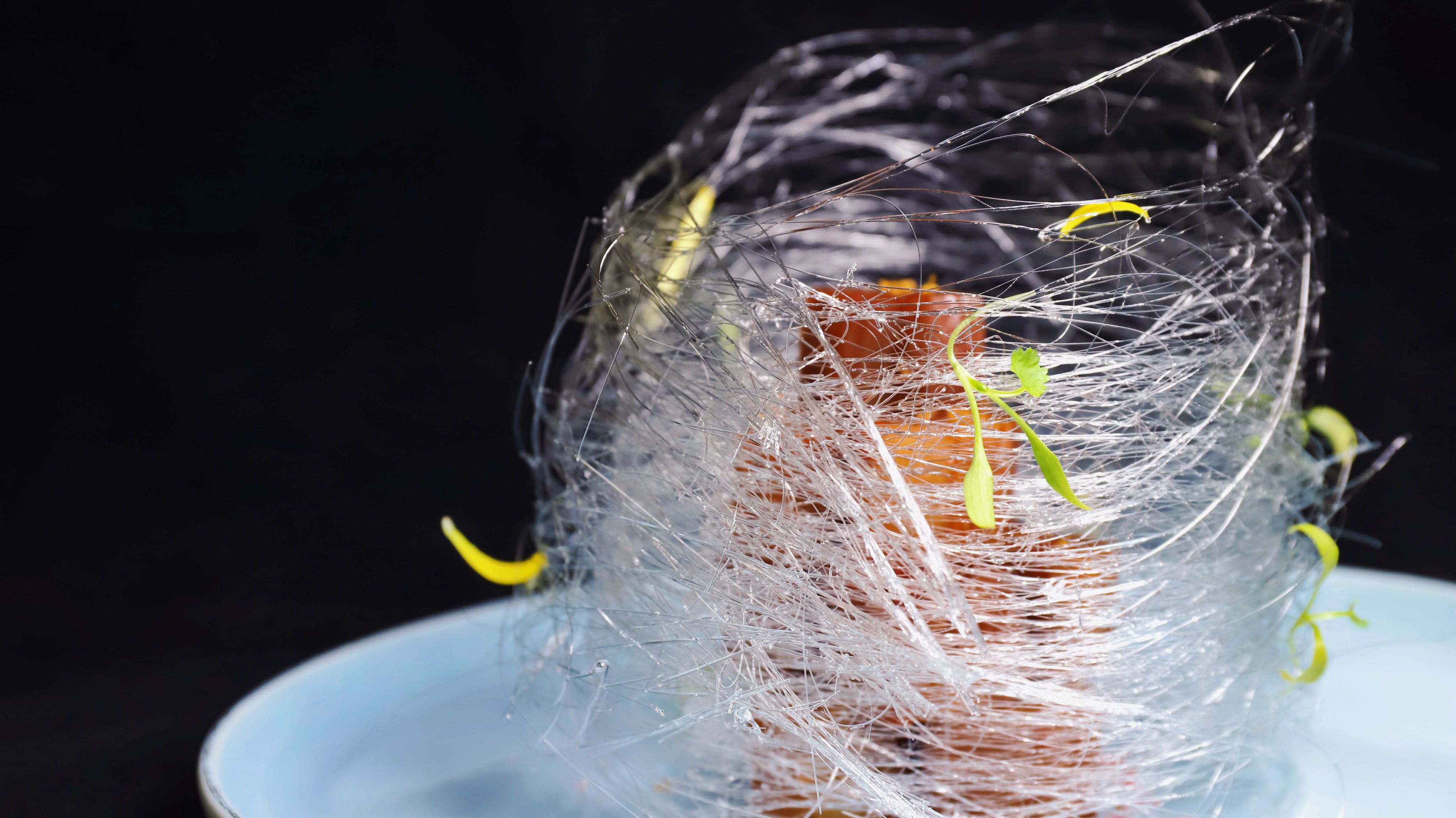 Close-up of a gourmet dessert plated with an intricate sugar nest and microgreens.