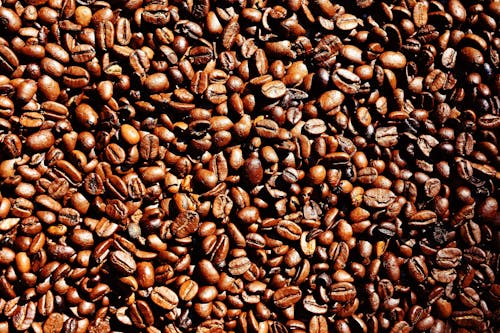 Free Coffee Bean Lot Stock Photo