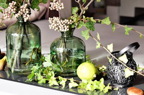 Free Green Leaved Plants in Green Clear Glass Vase Stock Photo