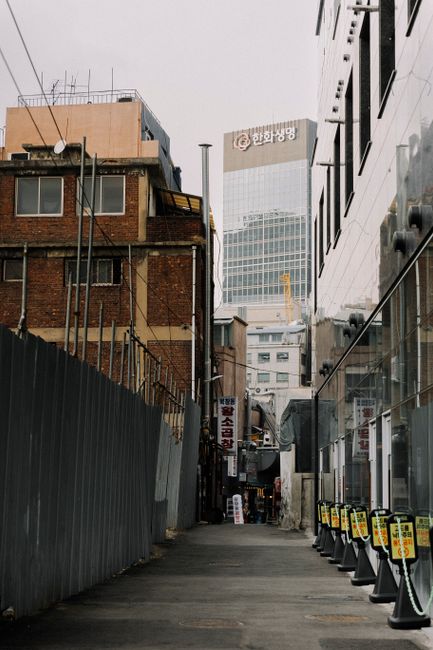 대흥동 원도심 골목 산책로 풍경