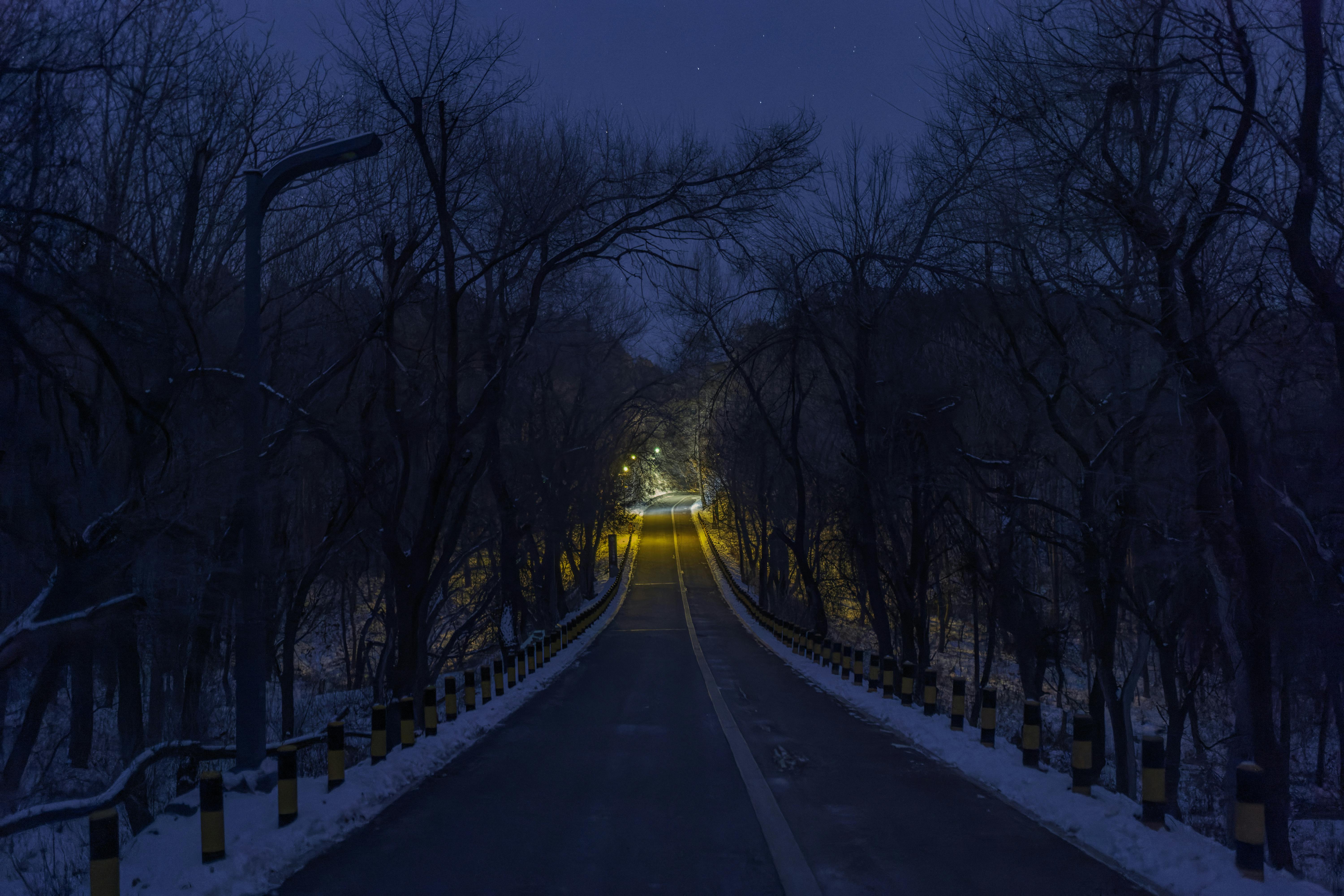 Eerie winter road scene at twilight, illuminated by streetlights and bordered by leafless trees.
