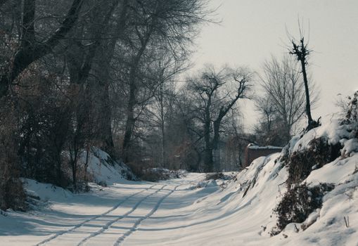 A serene winter scene of a snow-covered countryside road bordered by leafless trees under soft sunlight.