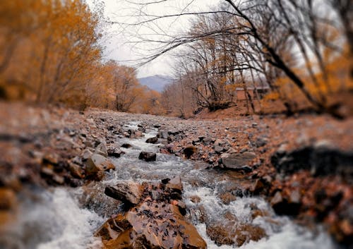 Autumn Scenery