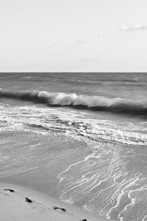 サーフィン, シースケープ, ビーチの無料の写真素材