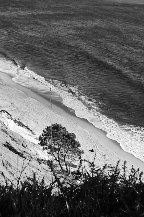 Foto profissional grátis de água, ao ar livre, areia