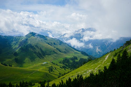 Безкоштовне стокове фото на тему «гори, гучний, дерева»