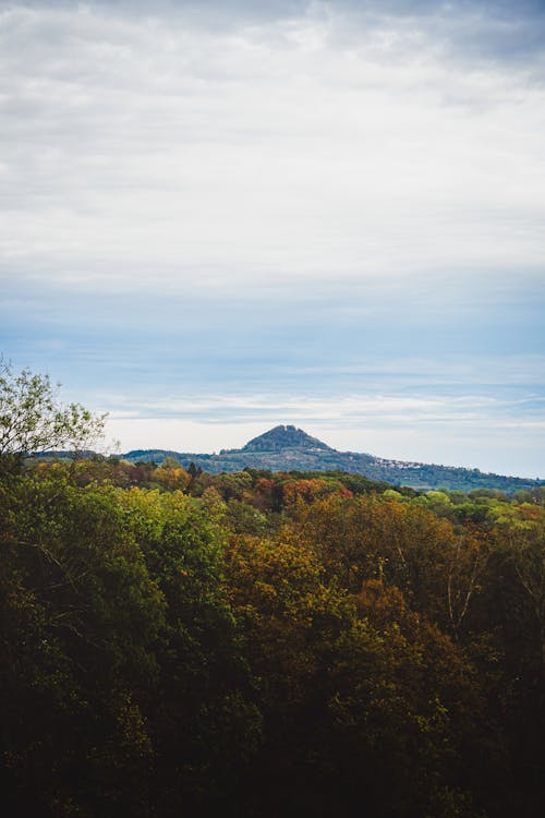 A view of a mountain from a hilltop