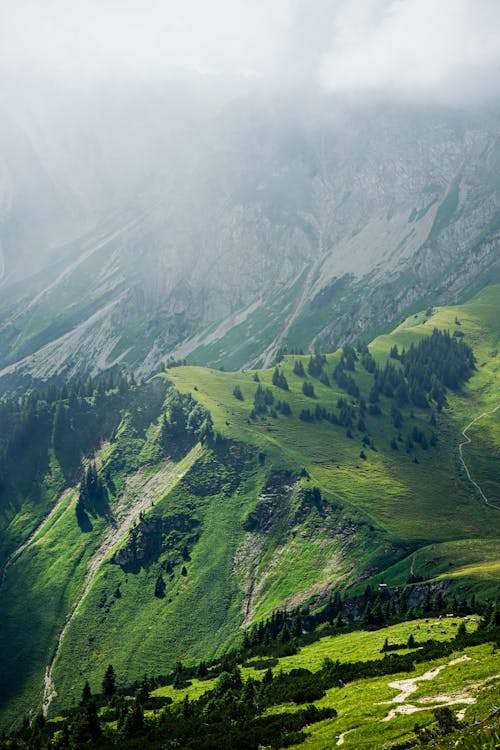 A mountain landscape with green grass and trees